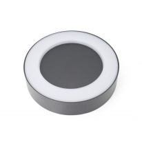 Фото Светильник настенный Favourite 2865-1W