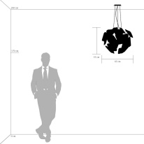 Купить с доставкой по Москве и России Подвесной светильник Lightstar 808010