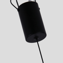 Купить с доставкой по Москве и России Подвесной светильник Favourite 4294-1P