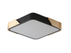 Фото Накладной светильник Zortes ZRS.01281.48