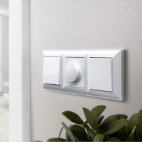 Купить с доставкой по Москве и России Диммеры Werkel W1142001