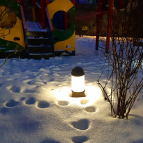 Купить с доставкой по Москве и России Садово-парковый светильник Fumagalli D15.553.000.AYF1R