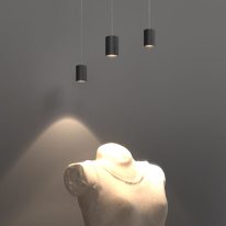 Цена на Подвесной светильник Eurosvet 50248/1 LED черный