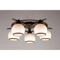 Накладная люстра Omnilux OML-50507-05 в интернет магазине Гет Лайт