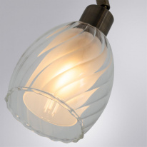 Купить Спот ARTE Lamp A3184PL-2AB