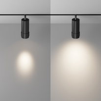 Цена на Светильник на шине Maytoni Technical TR212-1-12WTW-DS-Z-B