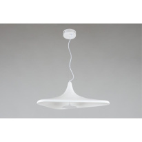 Купить Подвесной светильник APLOYT APL.649.16.08