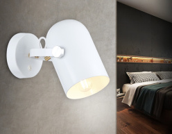 Купить с доставкой по Москве и России Спот Ambrella Light TR8202