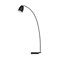 Фото Торшер LOFT IT LOFT4402F-BL