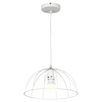 Подвесной светильник Lussole GRLSP-8214 Фото Подвесной светильник Lussole GRLSP-8214