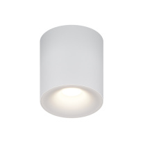 Фото  Maytoni Technical C094-GU10-W