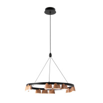 Фото Подвесная люстра Favourite 4266-12P