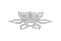 Фото Накладной светильник Natali Kovaltseva LED LAMPS 81123/6C