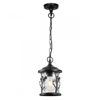 Подвесной уличный светильник Odeon Light 4963/1 в интернет магазине Гет Лайт