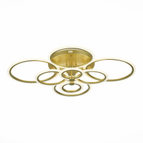 Фото Накладная люстра EVOLED SLE500522-08