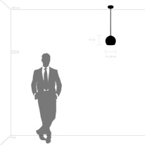 Купить с доставкой по Москве и России Подвесной светильник Lightstar 729011