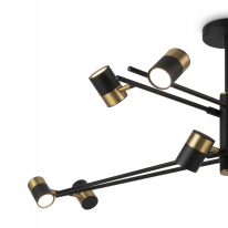 Купить с доставкой по Москве и России Люстра на штанге Freya FR5201PL-10B