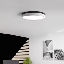 Купить с доставкой по Москве и России Накладной светильник ImperiumLoft 181029-26