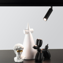 Купить с доставкой по Москве и России Светильник на шине LOFT IT T015-06