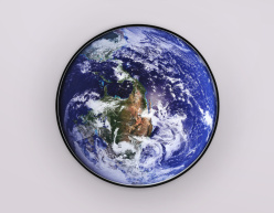 Купить с доставкой по Москве и России Детское бра Ambrella Light FW11133