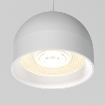 Цена на Светильник на шине Elektrostandard 85126/01