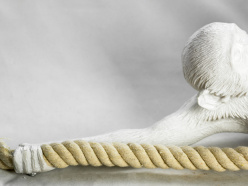 Купить Подвесной светильник Lussole LSP-9993