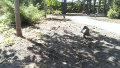 Купить с доставкой по Москве и России Грунтовый светильник LD-Lighting LD-CO48 LED