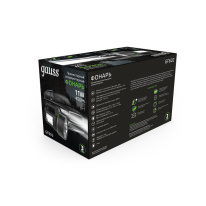 Купить с доставкой по Москве и России Фонарь Gauss GF602