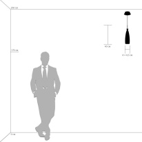 Цена на Подвесной светильник Lightstar 810013