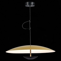 Подвесной светильник ST-Luce SL6502.213.01 Цена на Подвесной светильник ST-Luce SL6502.213.01