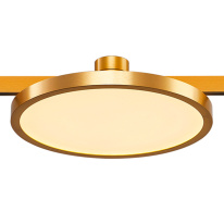 Купить Светильник на шине ST-Luce ST818.206.12