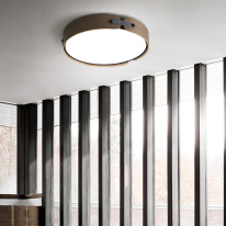 Цена на Накладной светильник ImperiumLoft 195542-26