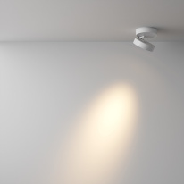 Цена на Накладной светильник Maytoni Technical C022CL-12W3K-W-1