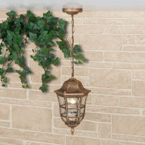 Купить Подвесной уличный светильник Elektrostandard Dorado H черное золото (GL 1013H)