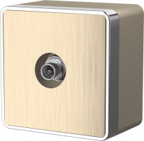 Фото Розетка Werkel WL15-21-01 (шампань рифленый)