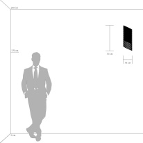 Купить Бра Lightstar 709624