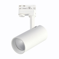 Купить Светильник на шине ST-Luce ST661.546.30