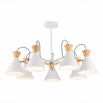 Фото Люстра на штанге Evoluce SLE125102-07