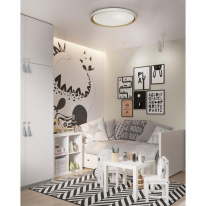 Накладной светильник Sonex 7645/DL в интернет магазине Гет Лайт