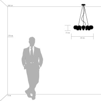 Купить Подвесная люстра Lightstar 801124