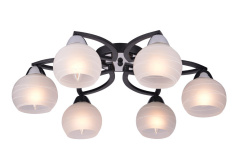 Фото Накладная люстра TOPLIGHT TL3730X-06BC