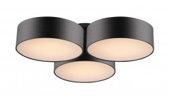 Фото Накладной светильник Favourite 1514-6C