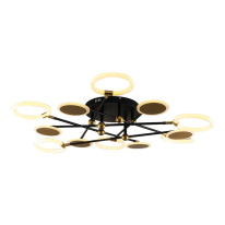 Фото Накладная люстра Escada 10247/12LED