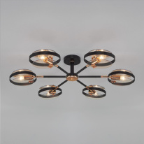 Фото Люстра на штанге Eurosvet 70121/6 черный