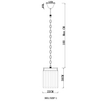 Купить Подвесной светильник Divinare 3001/02 SP-1