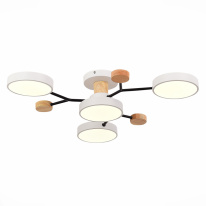 Фото Люстра на штанге Evoluce SLE6006-502-04