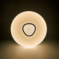 Купить с доставкой по Москве и России Накладной светильник Feron 41917