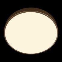 Купить с доставкой по Москве и России Накладной светильник LOFT IT 10228/A