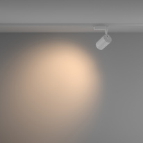 Светильник на шине Maytoni Technical TR003-1-15W3K-W-W в интернет магазине Гет Лайт