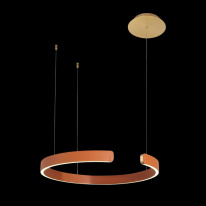 Купить с доставкой по Москве и России Подвесной светильник LOFT IT 10025/400 Orange